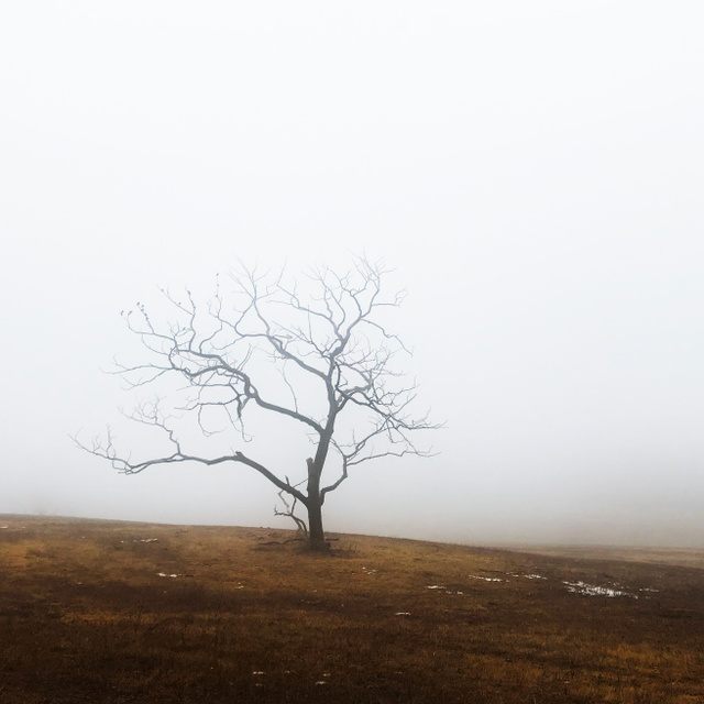 Portfolio Showcase — photograph 26 by Nikolay Pokrovskiy